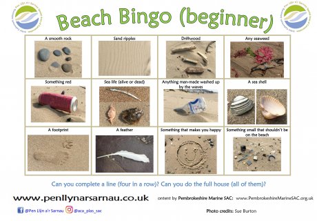 Beach bingo beginner