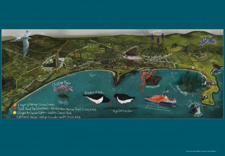 Saffari bywyd gwyllt Porthdinllaen