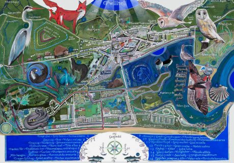 Saffari bywyd gwyllt Pwllheli