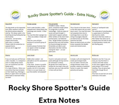 Rocky Shore Spotter’s Guide Extra Notes